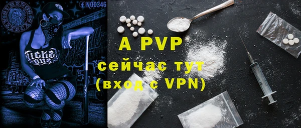 спиды Дмитриев
