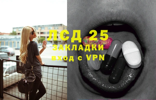 спиды Дмитриев